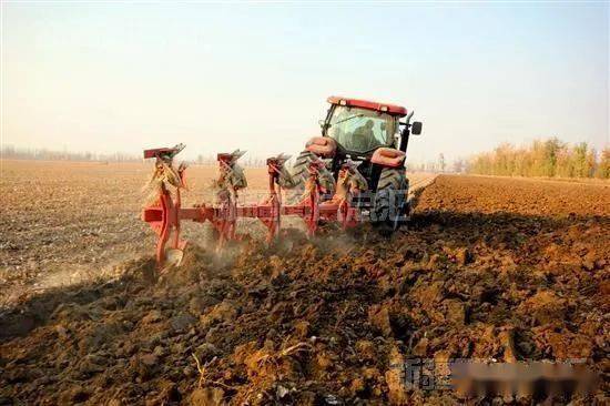春耕備戰要點 棉花一播全苗與果園林間管理雙管齊下——農戶實用操作指南